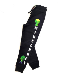 Плотные теплые спортивные штаны на флисе 10лет (140) черный Cool club 